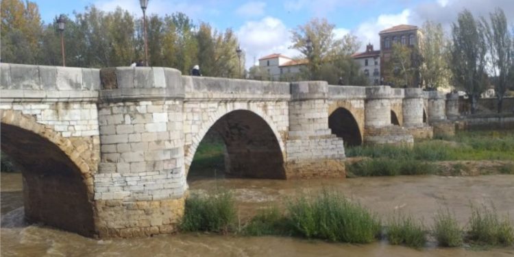 Se lanzó desde el puente