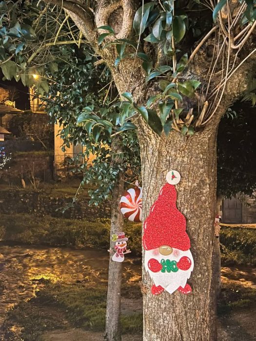 Navidad de cuento en un pueblo de León 21