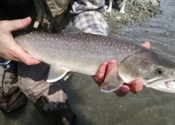 Cómo solicitar el permiso de pesca para la temporada de 2025 6