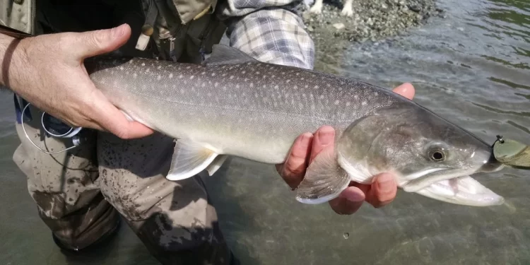 Cómo solicitar el permiso de pesca para la temporada de 2025 1