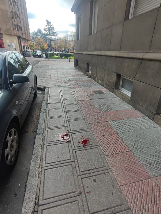 La sangrienta escena en una céntrica calle de León 3