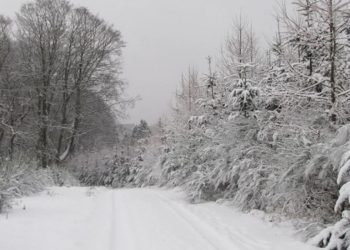 Una gran nevada esta semana