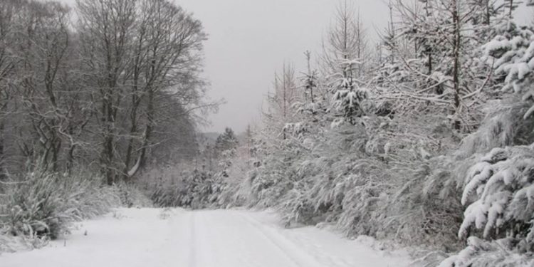 Una gran nevada esta semana