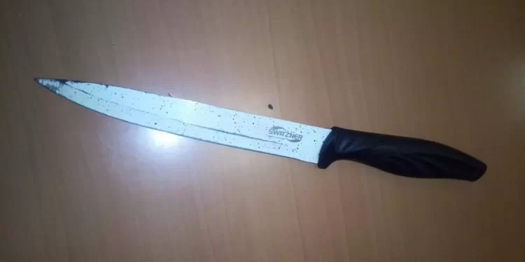 Con un cuchillo amenazó a sus padres