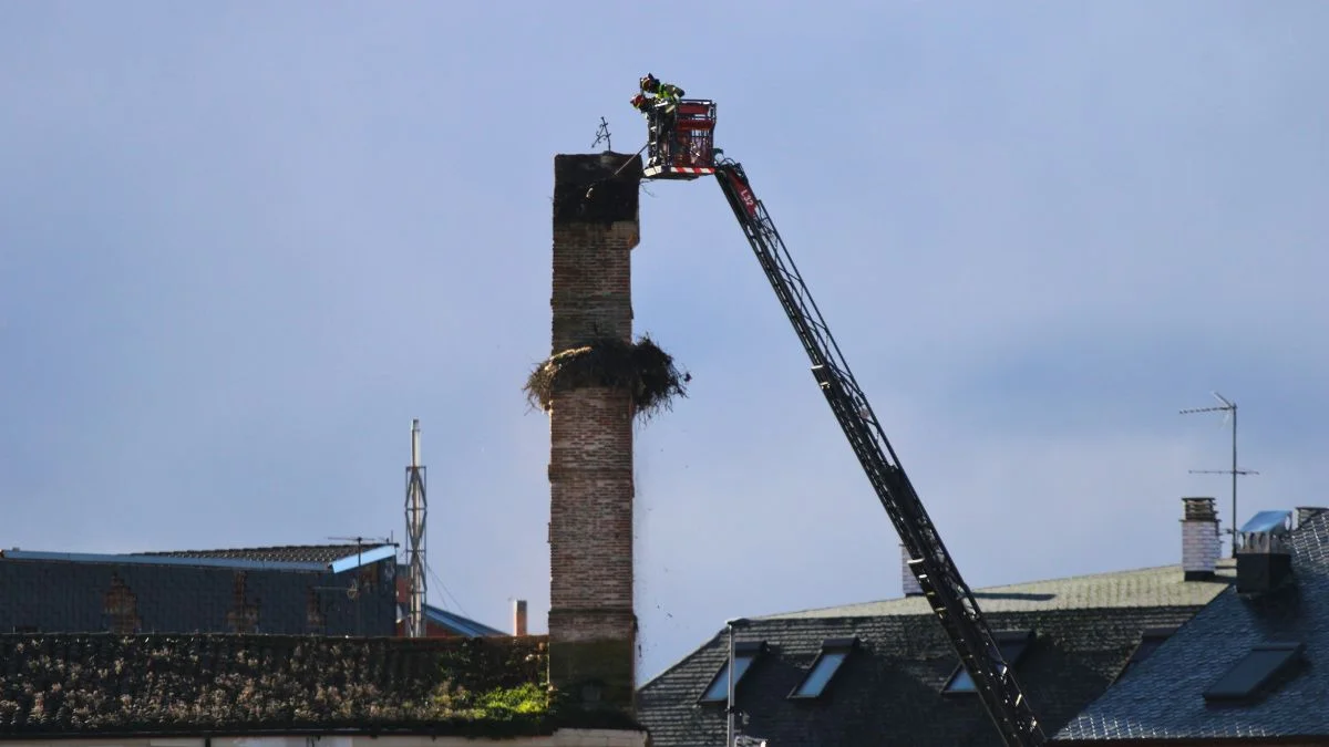 Retiran tres nidos de cigüeña de una iglesia de un barrio de León 1