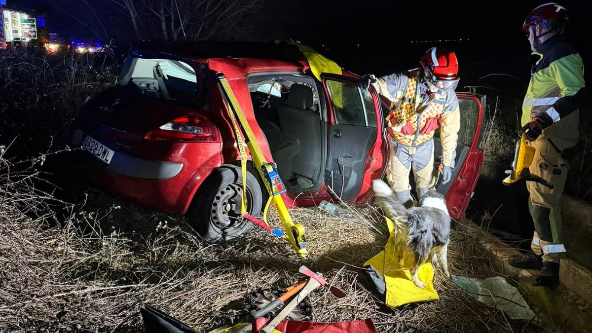 Dos coches chocan contra un caballo en una carretera leonesa 2