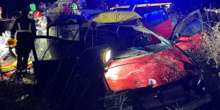 Dos coches chocan contra un caballo en una carretera leonesa 1