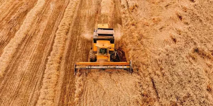 Terrenos en Castilla y León