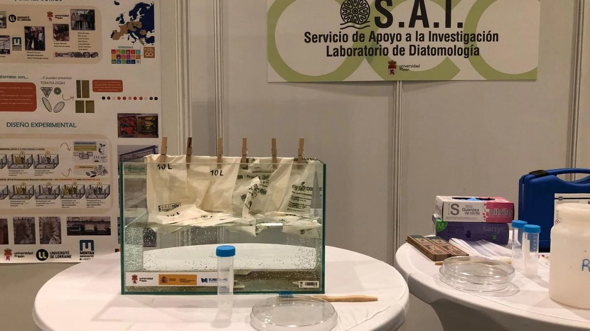 Cientos de leoneses visitan Expociencia 2025 en su primera jornada 12