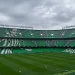 Abonados del Betis