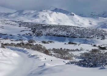 La nevada más esperada