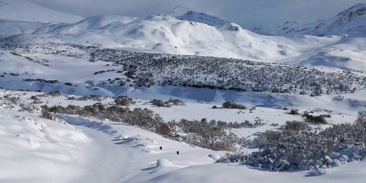 La nevada más esperada