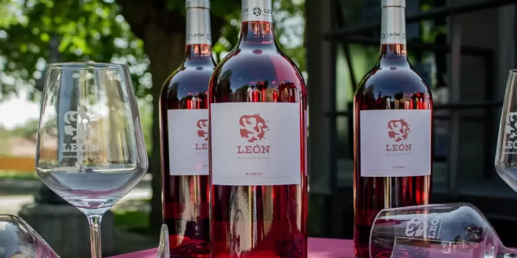 Vinos de León