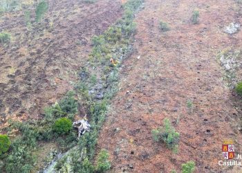 Trágico accidente al volcar una máquina forestal en el monte 1